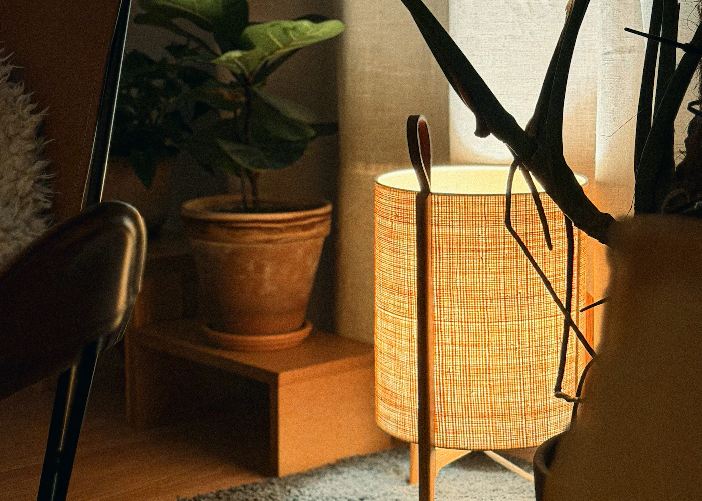 A glowing floor lamp beside large houseplants in a quiet room